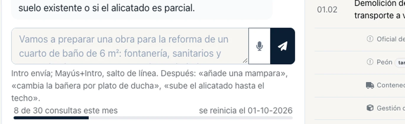 El campo de la orden con el botón de micrófono para dictar y, debajo, la barra de uso: 8 de 30 consultas este mes, se reinicia el 1 de octubre